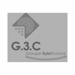 G3C